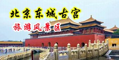 污女被操嗷嗷叫牛鞭鸡巴中国北京-东城古宫旅游风景区